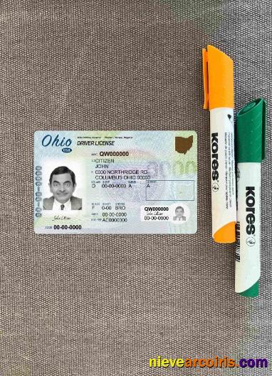 USA Ohio driving license photolook